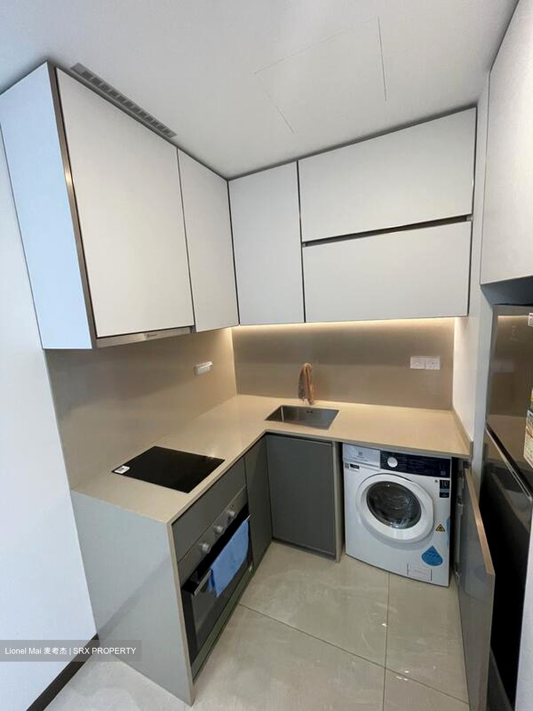 Normanton Park (D5), Apartment #476094641